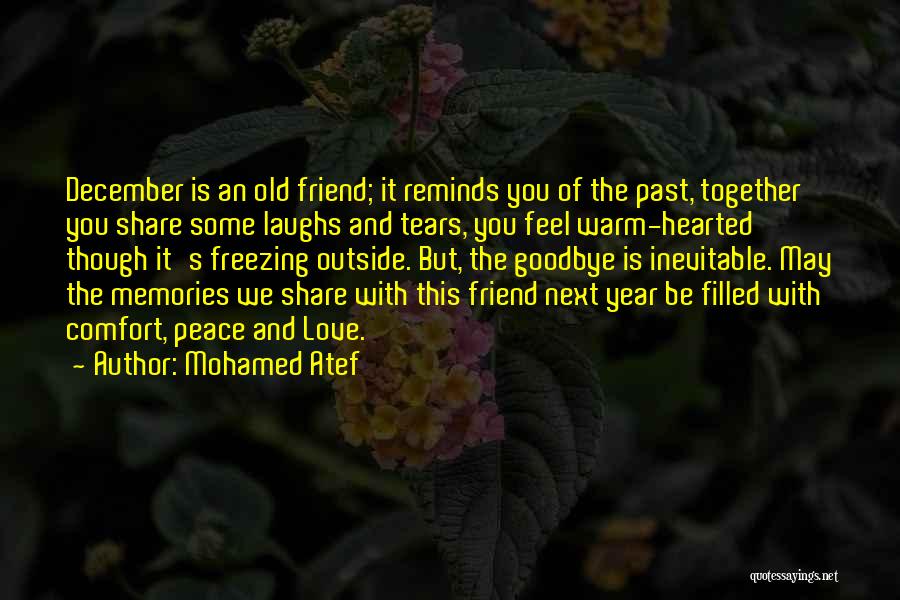 Mohamed Atef Quotes: December Is An Old Friend; It Reminds You Of The Past, Together You Share Some Laughs And Tears, You Feel