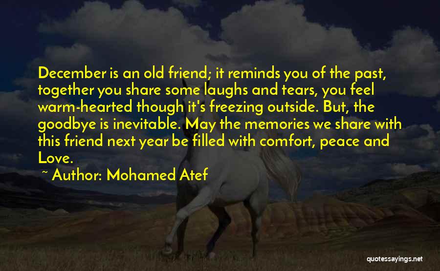 Mohamed Atef Quotes: December Is An Old Friend; It Reminds You Of The Past, Together You Share Some Laughs And Tears, You Feel