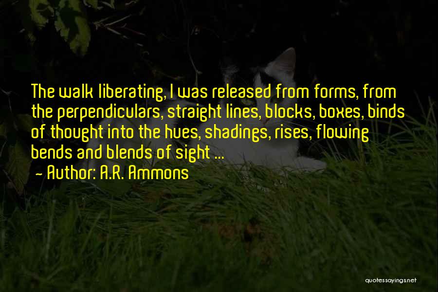 A.R. Ammons Quotes: The Walk Liberating, I Was Released From Forms, From The Perpendiculars, Straight Lines, Blocks, Boxes, Binds Of Thought Into The