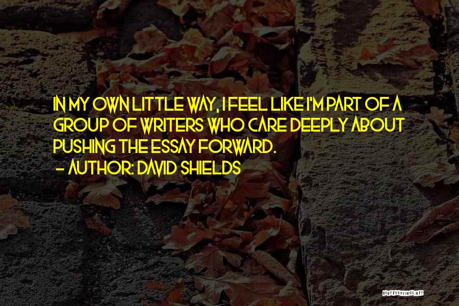 David Shields Quotes: In My Own Little Way, I Feel Like I'm Part Of A Group Of Writers Who Care Deeply About Pushing