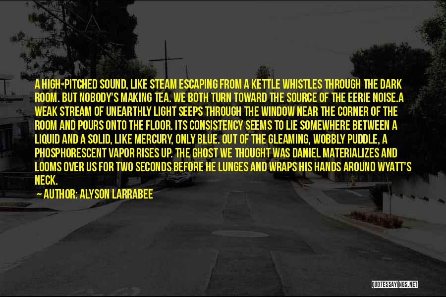 Alyson Larrabee Quotes: A High-pitched Sound, Like Steam Escaping From A Kettle Whistles Through The Dark Room. But Nobody's Making Tea. We Both