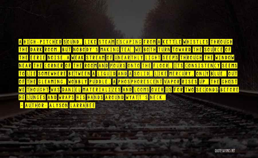 Alyson Larrabee Quotes: A High-pitched Sound, Like Steam Escaping From A Kettle Whistles Through The Dark Room. But Nobody's Making Tea. We Both