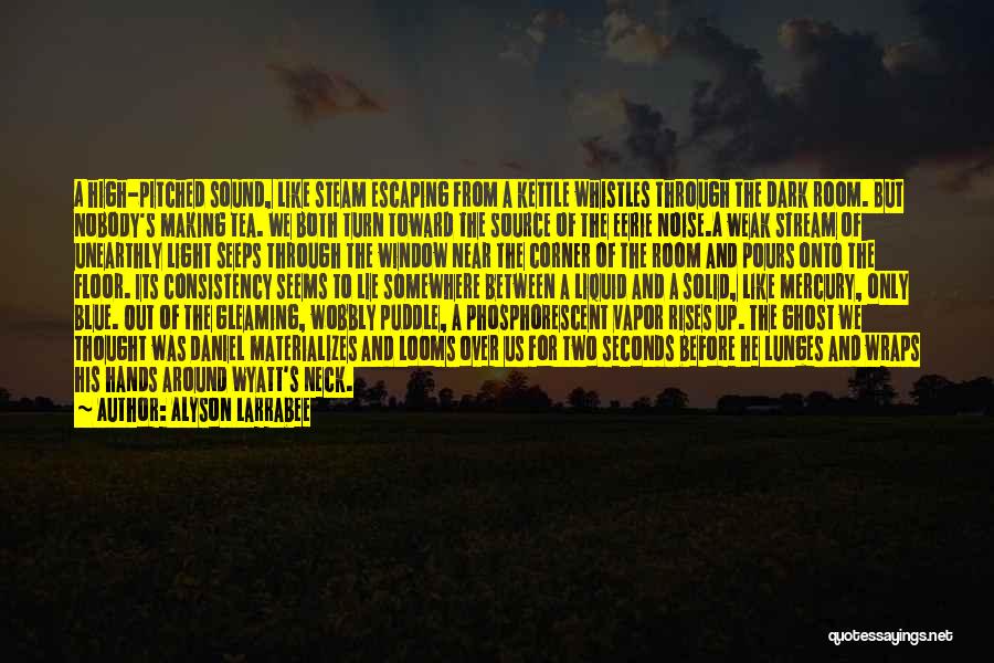 Alyson Larrabee Quotes: A High-pitched Sound, Like Steam Escaping From A Kettle Whistles Through The Dark Room. But Nobody's Making Tea. We Both