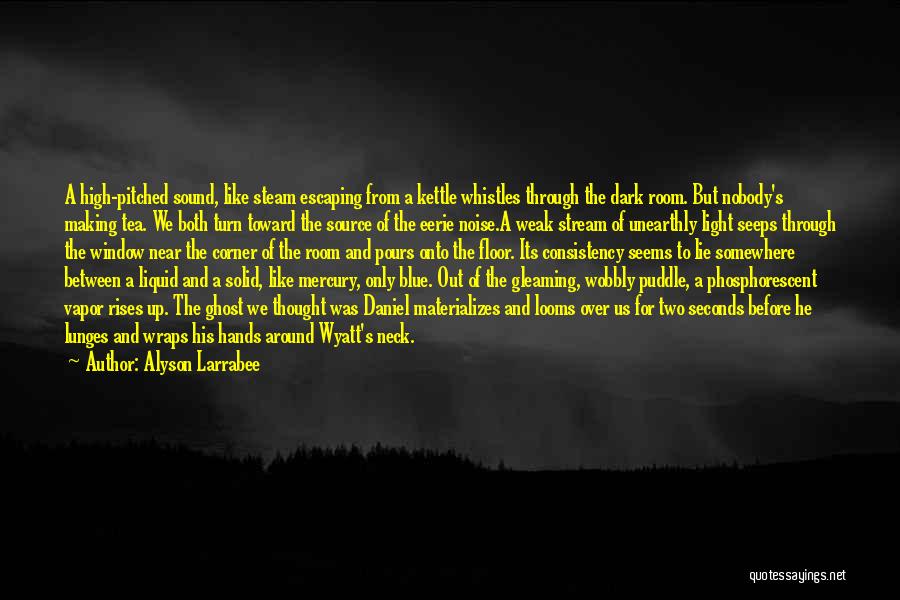 Alyson Larrabee Quotes: A High-pitched Sound, Like Steam Escaping From A Kettle Whistles Through The Dark Room. But Nobody's Making Tea. We Both