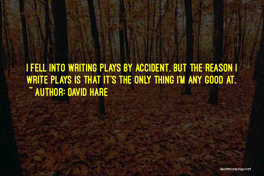 David Hare Quotes: I Fell Into Writing Plays By Accident. But The Reason I Write Plays Is That It's The Only Thing I'm