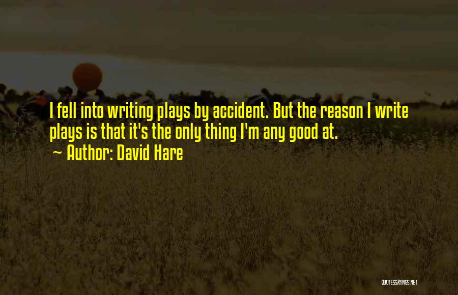 David Hare Quotes: I Fell Into Writing Plays By Accident. But The Reason I Write Plays Is That It's The Only Thing I'm