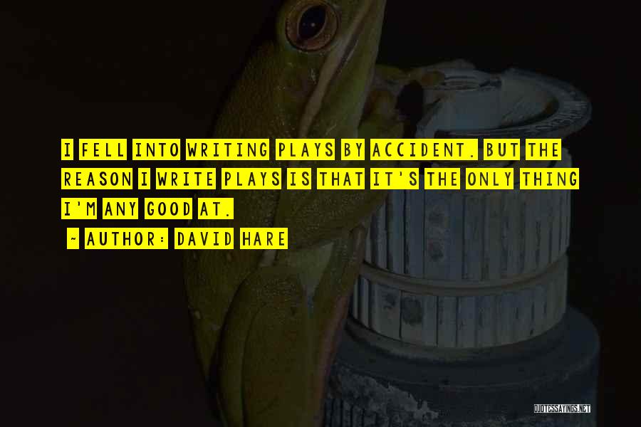 David Hare Quotes: I Fell Into Writing Plays By Accident. But The Reason I Write Plays Is That It's The Only Thing I'm