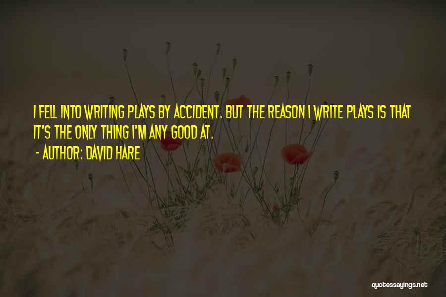 David Hare Quotes: I Fell Into Writing Plays By Accident. But The Reason I Write Plays Is That It's The Only Thing I'm