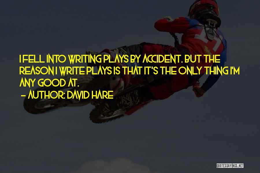 David Hare Quotes: I Fell Into Writing Plays By Accident. But The Reason I Write Plays Is That It's The Only Thing I'm