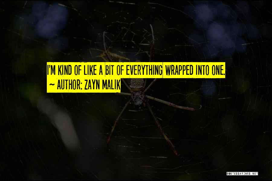 Zayn Malik Quotes: I'm Kind Of Like A Bit Of Everything Wrapped Into One.