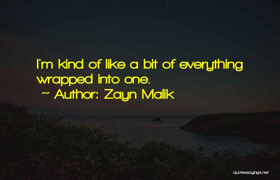 Zayn Malik Quotes: I'm Kind Of Like A Bit Of Everything Wrapped Into One.