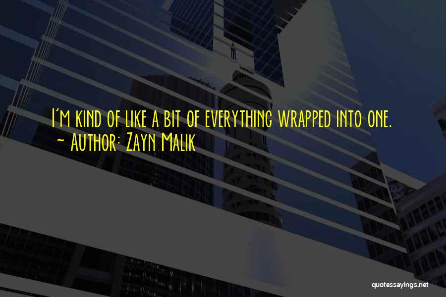 Zayn Malik Quotes: I'm Kind Of Like A Bit Of Everything Wrapped Into One.