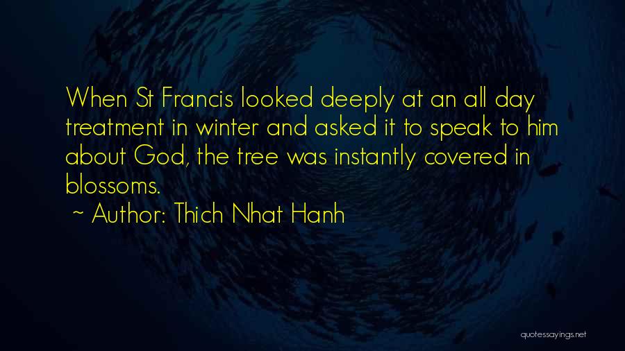 Thich Nhat Hanh Quotes: When St Francis Looked Deeply At An All Day Treatment In Winter And Asked It To Speak To Him About