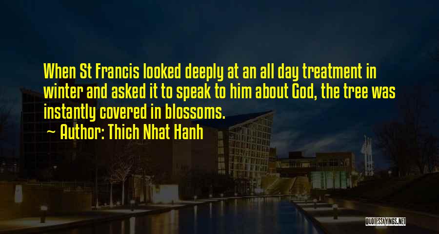 Thich Nhat Hanh Quotes: When St Francis Looked Deeply At An All Day Treatment In Winter And Asked It To Speak To Him About