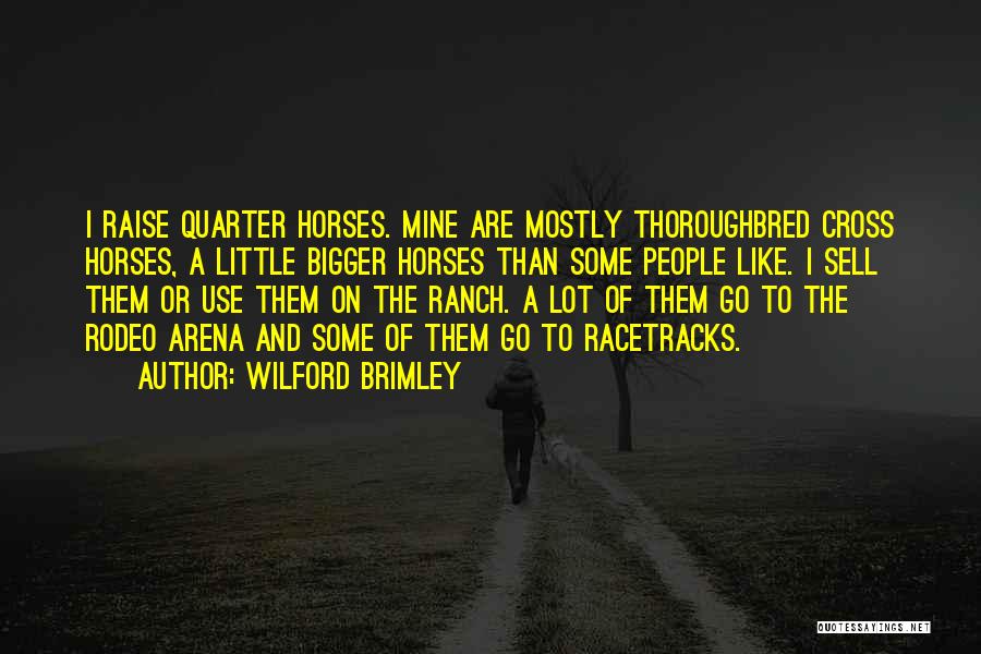Wilford Brimley Quotes: I Raise Quarter Horses. Mine Are Mostly Thoroughbred Cross Horses, A Little Bigger Horses Than Some People Like. I Sell