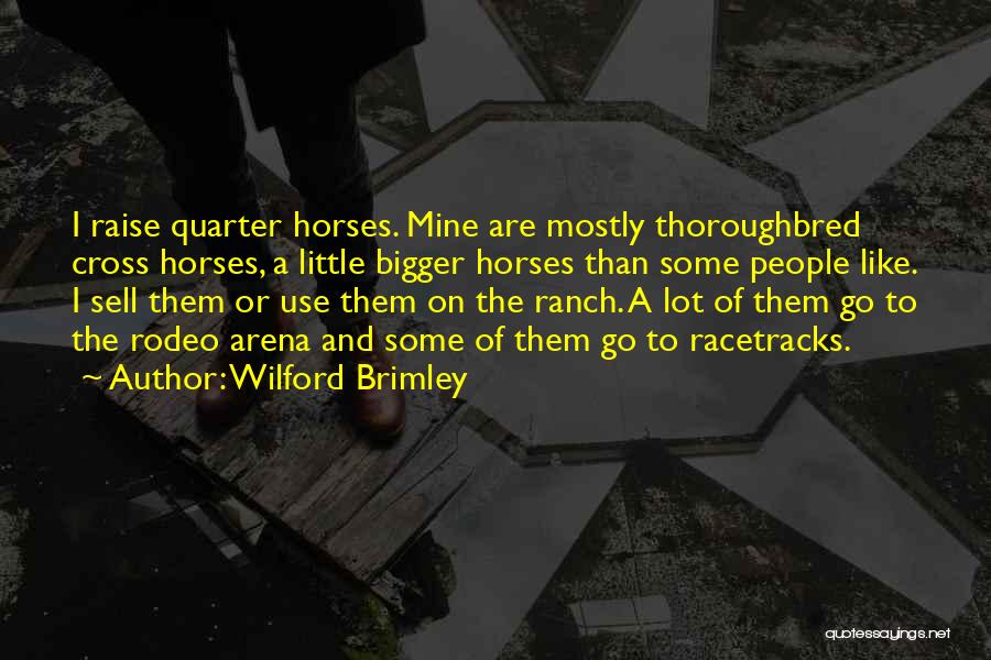 Wilford Brimley Quotes: I Raise Quarter Horses. Mine Are Mostly Thoroughbred Cross Horses, A Little Bigger Horses Than Some People Like. I Sell