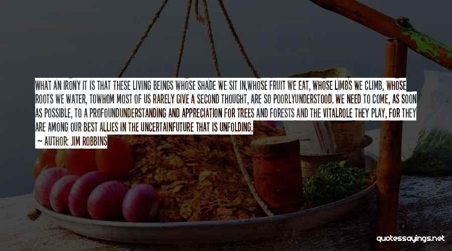 Jim Robbins Quotes: What An Irony It Is That These Living Beings Whose Shade We Sit In,whose Fruit We Eat, Whose Limbs We