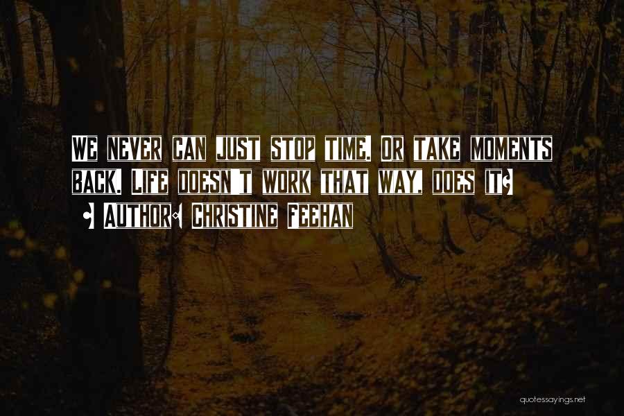 Christine Feehan Quotes: We Never Can Just Stop Time. Or Take Moments Back. Life Doesn't Work That Way, Does It?