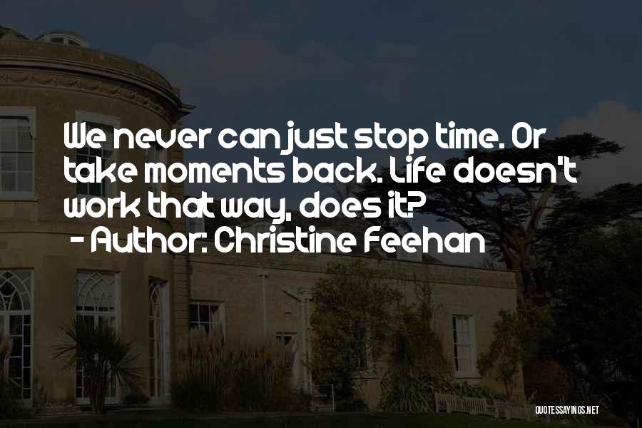 Christine Feehan Quotes: We Never Can Just Stop Time. Or Take Moments Back. Life Doesn't Work That Way, Does It?