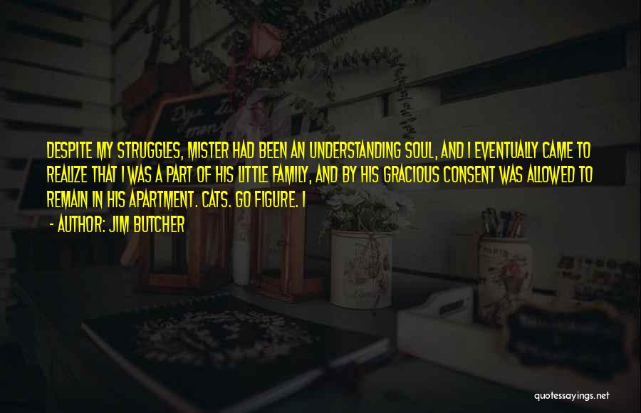 Jim Butcher Quotes: Despite My Struggles, Mister Had Been An Understanding Soul, And I Eventually Came To Realize That I Was A Part