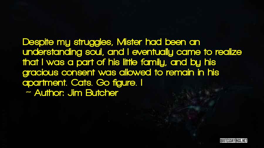 Jim Butcher Quotes: Despite My Struggles, Mister Had Been An Understanding Soul, And I Eventually Came To Realize That I Was A Part