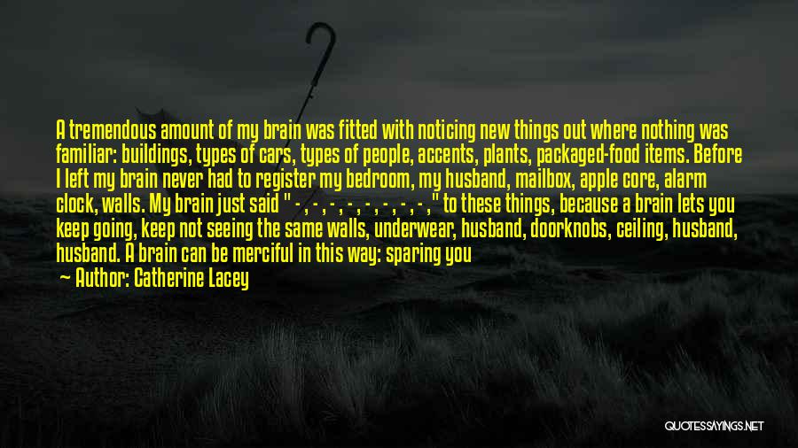 Catherine Lacey Quotes: A Tremendous Amount Of My Brain Was Fitted With Noticing New Things Out Where Nothing Was Familiar: Buildings, Types Of