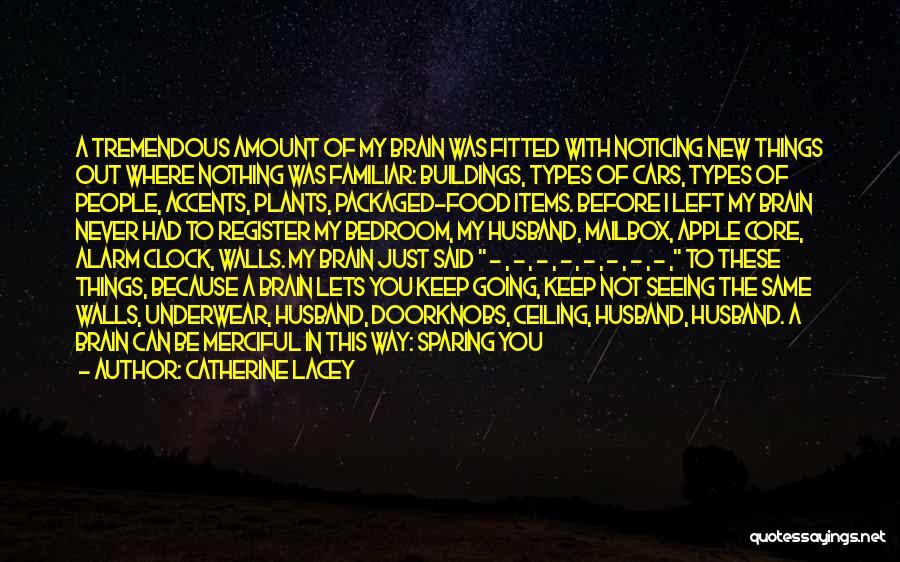 Catherine Lacey Quotes: A Tremendous Amount Of My Brain Was Fitted With Noticing New Things Out Where Nothing Was Familiar: Buildings, Types Of