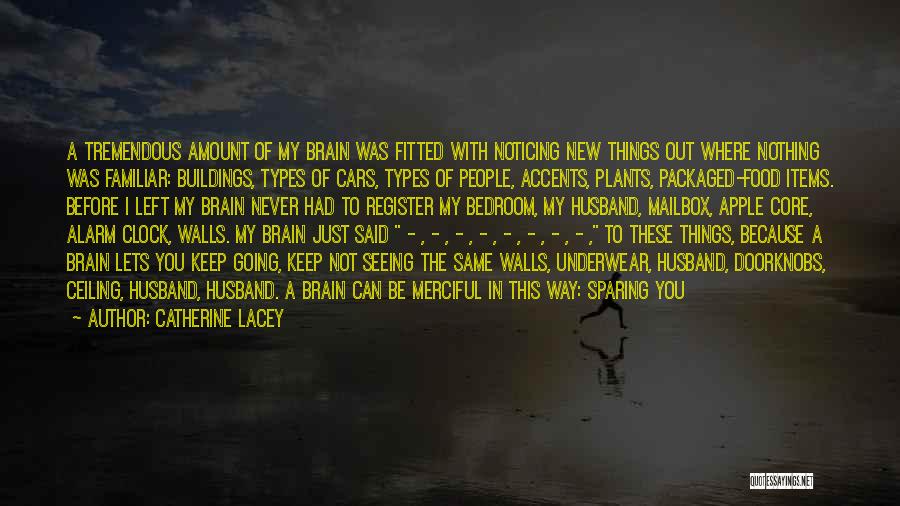 Catherine Lacey Quotes: A Tremendous Amount Of My Brain Was Fitted With Noticing New Things Out Where Nothing Was Familiar: Buildings, Types Of