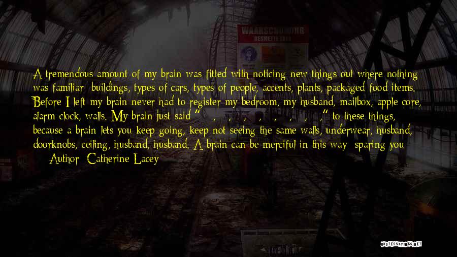 Catherine Lacey Quotes: A Tremendous Amount Of My Brain Was Fitted With Noticing New Things Out Where Nothing Was Familiar: Buildings, Types Of