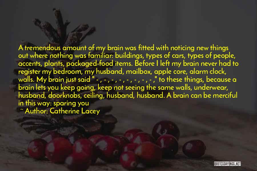 Catherine Lacey Quotes: A Tremendous Amount Of My Brain Was Fitted With Noticing New Things Out Where Nothing Was Familiar: Buildings, Types Of