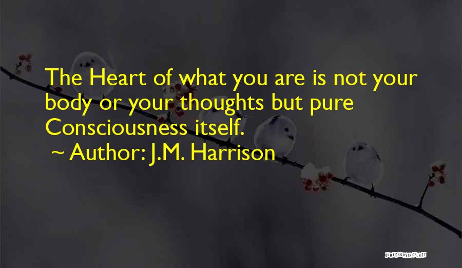 J.M. Harrison Quotes: The Heart Of What You Are Is Not Your Body Or Your Thoughts But Pure Consciousness Itself.