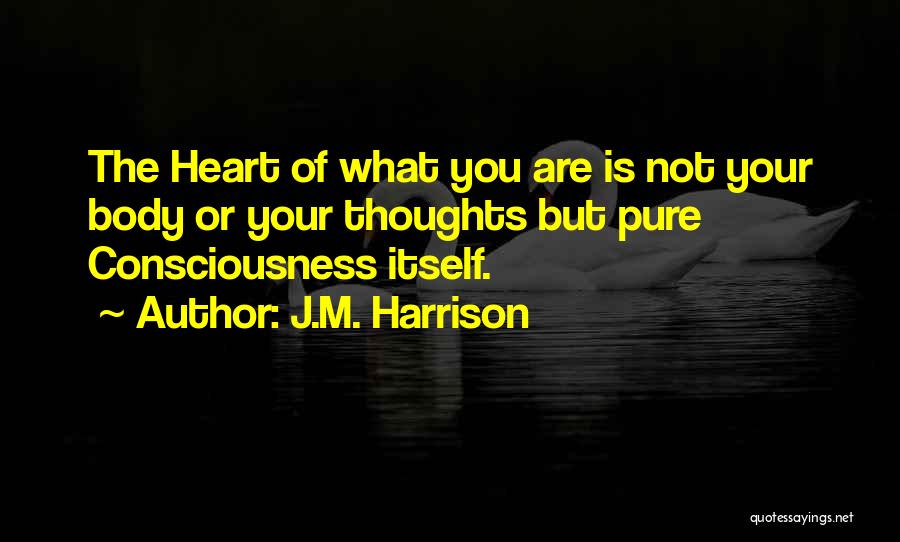 J.M. Harrison Quotes: The Heart Of What You Are Is Not Your Body Or Your Thoughts But Pure Consciousness Itself.