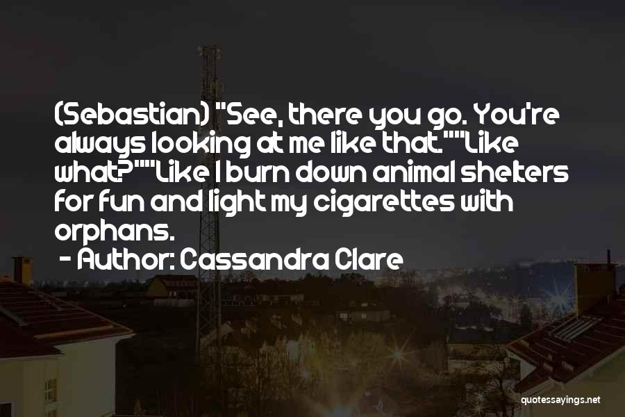 Cassandra Clare Quotes: (sebastian) See, There You Go. You're Always Looking At Me Like That.like What?like I Burn Down Animal Shelters For Fun