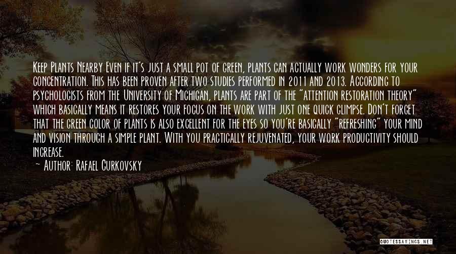 Rafael Gurkovsky Quotes: Keep Plants Nearby Even If It's Just A Small Pot Of Green, Plants Can Actually Work Wonders For Your Concentration.