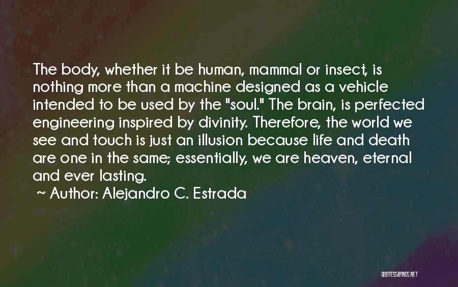 Alejandro C. Estrada Quotes: The Body, Whether It Be Human, Mammal Or Insect, Is Nothing More Than A Machine Designed As A Vehicle Intended