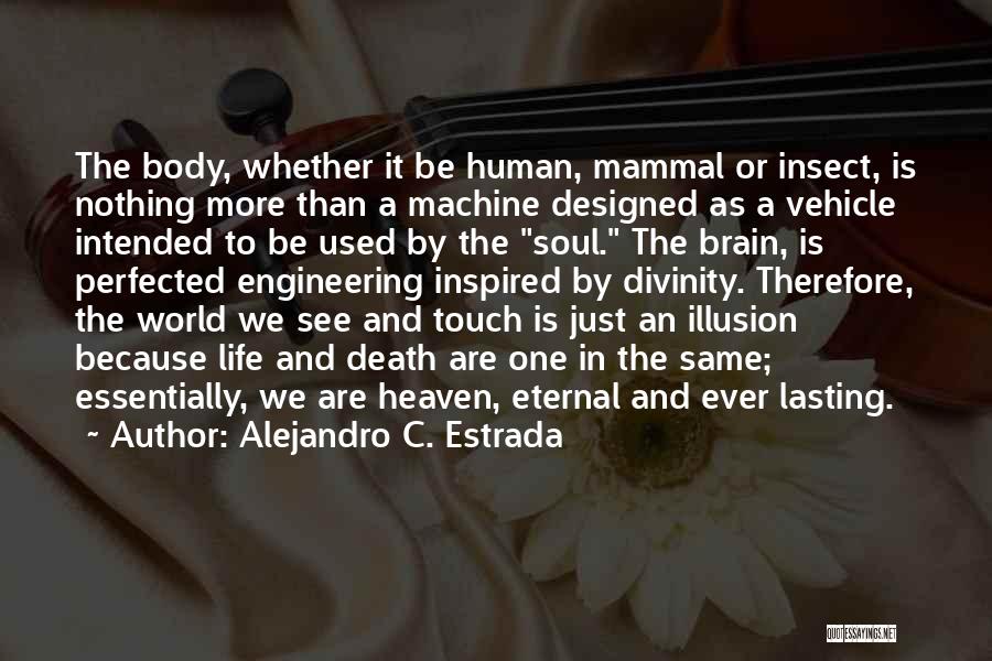 Alejandro C. Estrada Quotes: The Body, Whether It Be Human, Mammal Or Insect, Is Nothing More Than A Machine Designed As A Vehicle Intended
