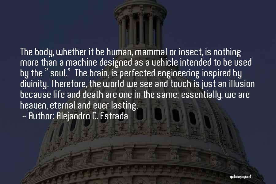 Alejandro C. Estrada Quotes: The Body, Whether It Be Human, Mammal Or Insect, Is Nothing More Than A Machine Designed As A Vehicle Intended