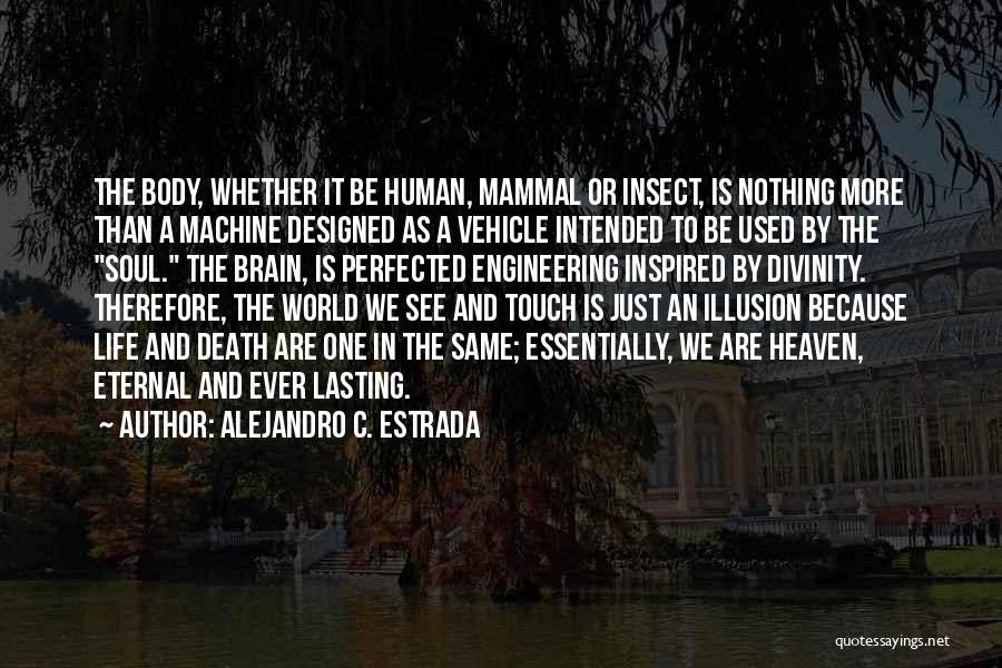 Alejandro C. Estrada Quotes: The Body, Whether It Be Human, Mammal Or Insect, Is Nothing More Than A Machine Designed As A Vehicle Intended