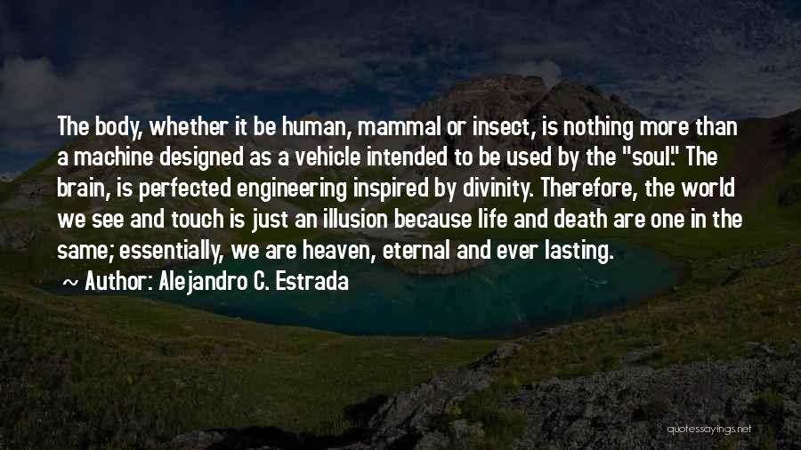 Alejandro C. Estrada Quotes: The Body, Whether It Be Human, Mammal Or Insect, Is Nothing More Than A Machine Designed As A Vehicle Intended