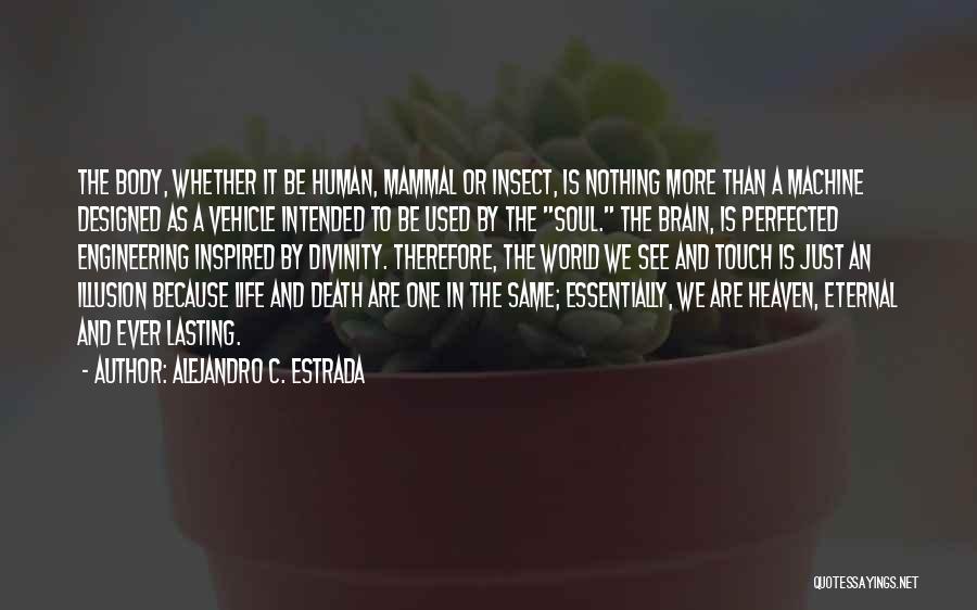 Alejandro C. Estrada Quotes: The Body, Whether It Be Human, Mammal Or Insect, Is Nothing More Than A Machine Designed As A Vehicle Intended