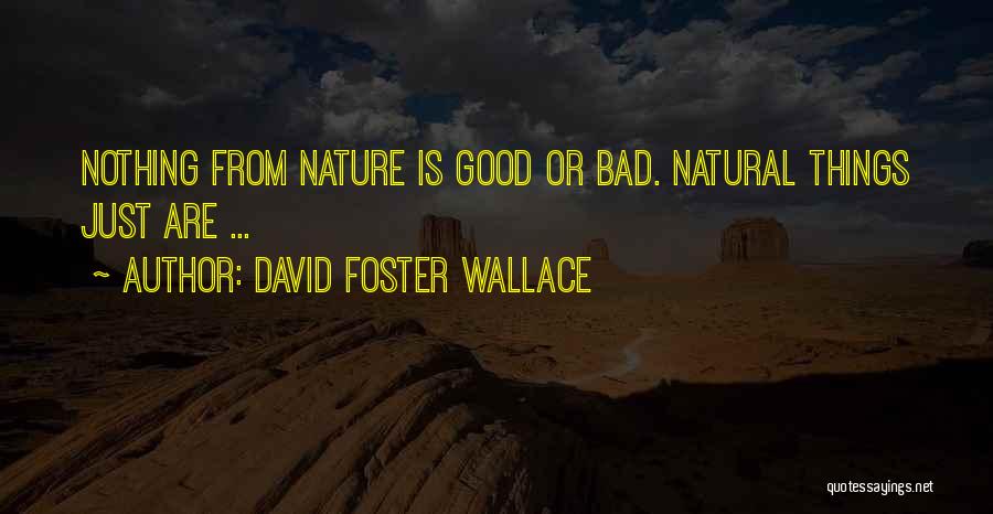 David Foster Wallace Quotes: Nothing From Nature Is Good Or Bad. Natural Things Just Are ...