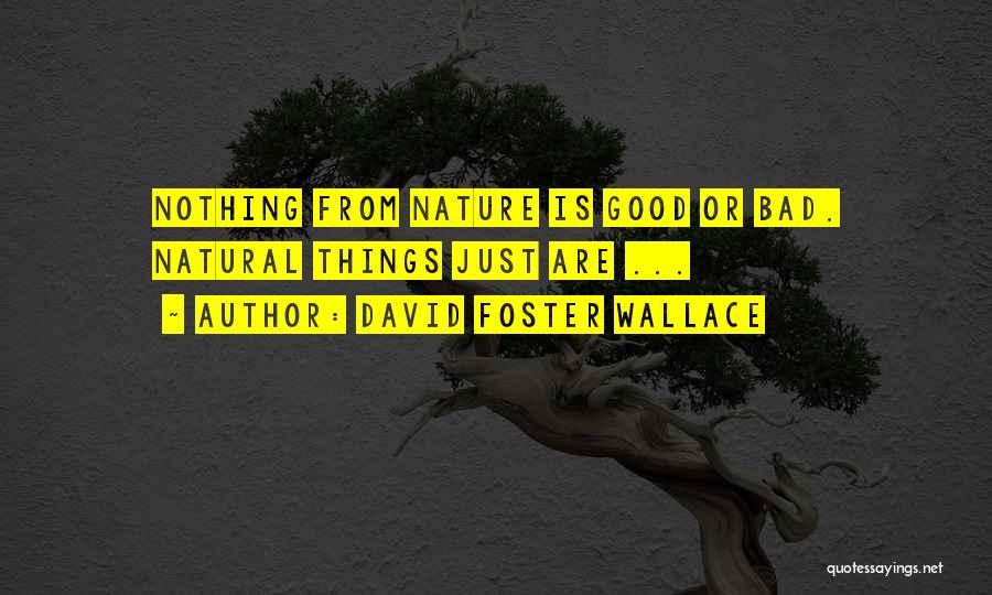 David Foster Wallace Quotes: Nothing From Nature Is Good Or Bad. Natural Things Just Are ...