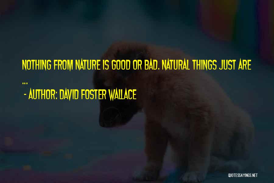 David Foster Wallace Quotes: Nothing From Nature Is Good Or Bad. Natural Things Just Are ...