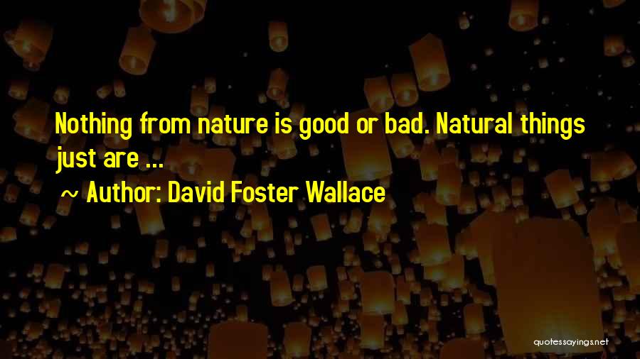 David Foster Wallace Quotes: Nothing From Nature Is Good Or Bad. Natural Things Just Are ...