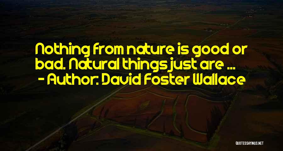 David Foster Wallace Quotes: Nothing From Nature Is Good Or Bad. Natural Things Just Are ...