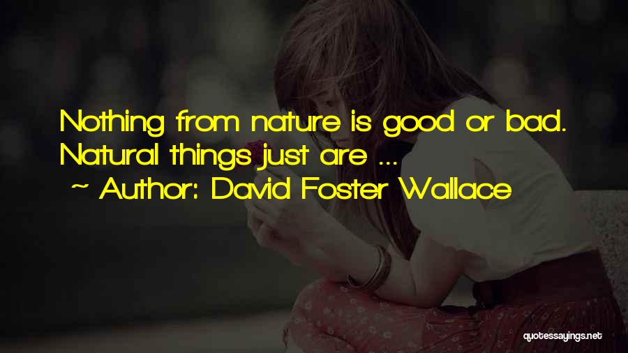 David Foster Wallace Quotes: Nothing From Nature Is Good Or Bad. Natural Things Just Are ...