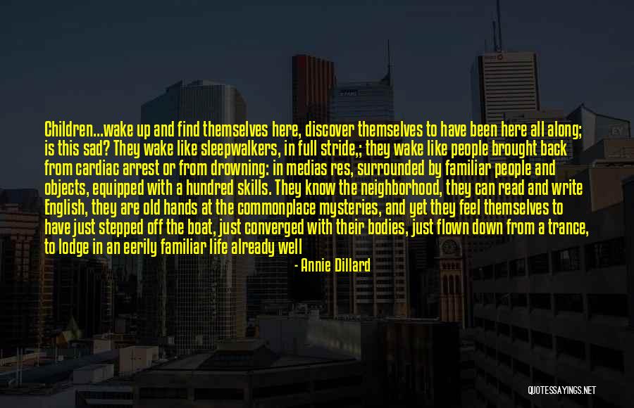 11704 Quotes By Annie Dillard 11704 Quotes By Annie Dillard