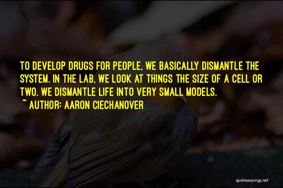 Aaron Ciechanover Quotes: To Develop Drugs For People, We Basically Dismantle The System. In The Lab, We Look At Things The Size Of