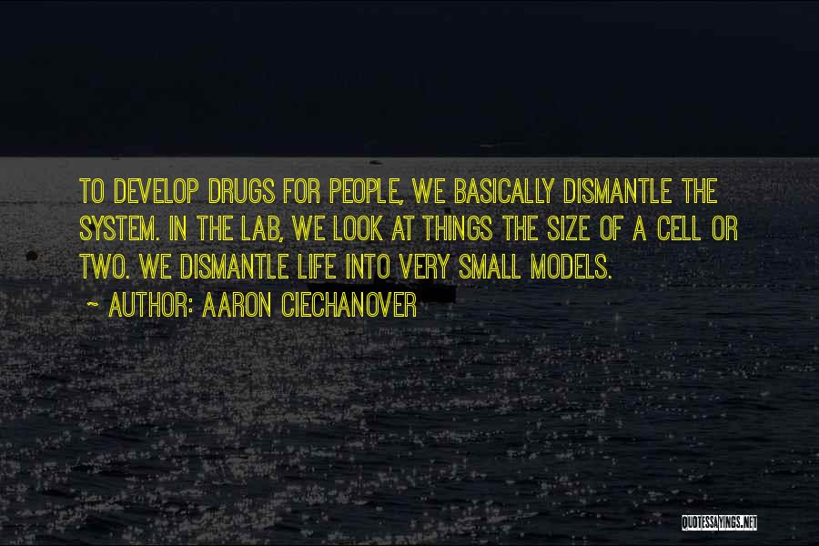 Aaron Ciechanover Quotes: To Develop Drugs For People, We Basically Dismantle The System. In The Lab, We Look At Things The Size Of