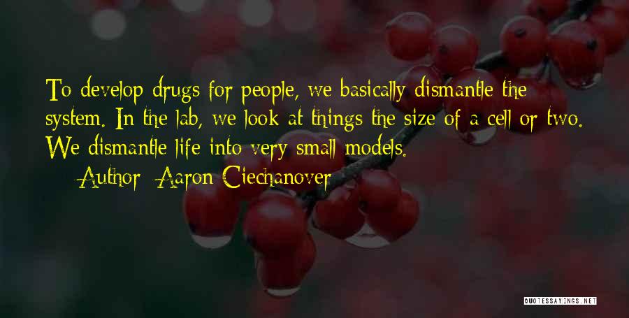 Aaron Ciechanover Quotes: To Develop Drugs For People, We Basically Dismantle The System. In The Lab, We Look At Things The Size Of